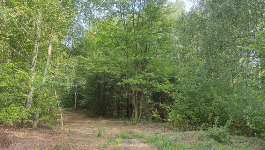 Działka Sprzedaż Borzęcin Duży Spacerowa